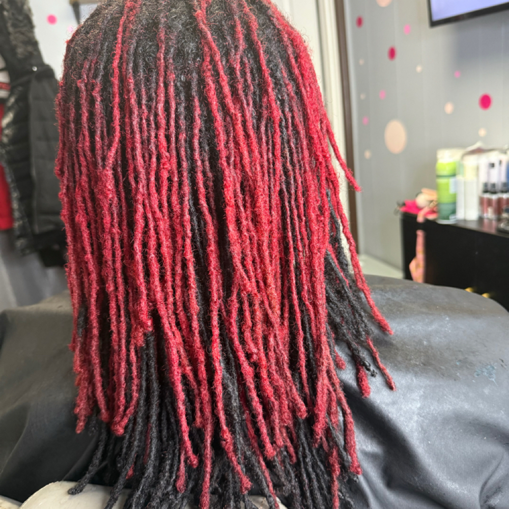 Loc Color / Dye at Lucky Your Hair Salon in Toledo, OH