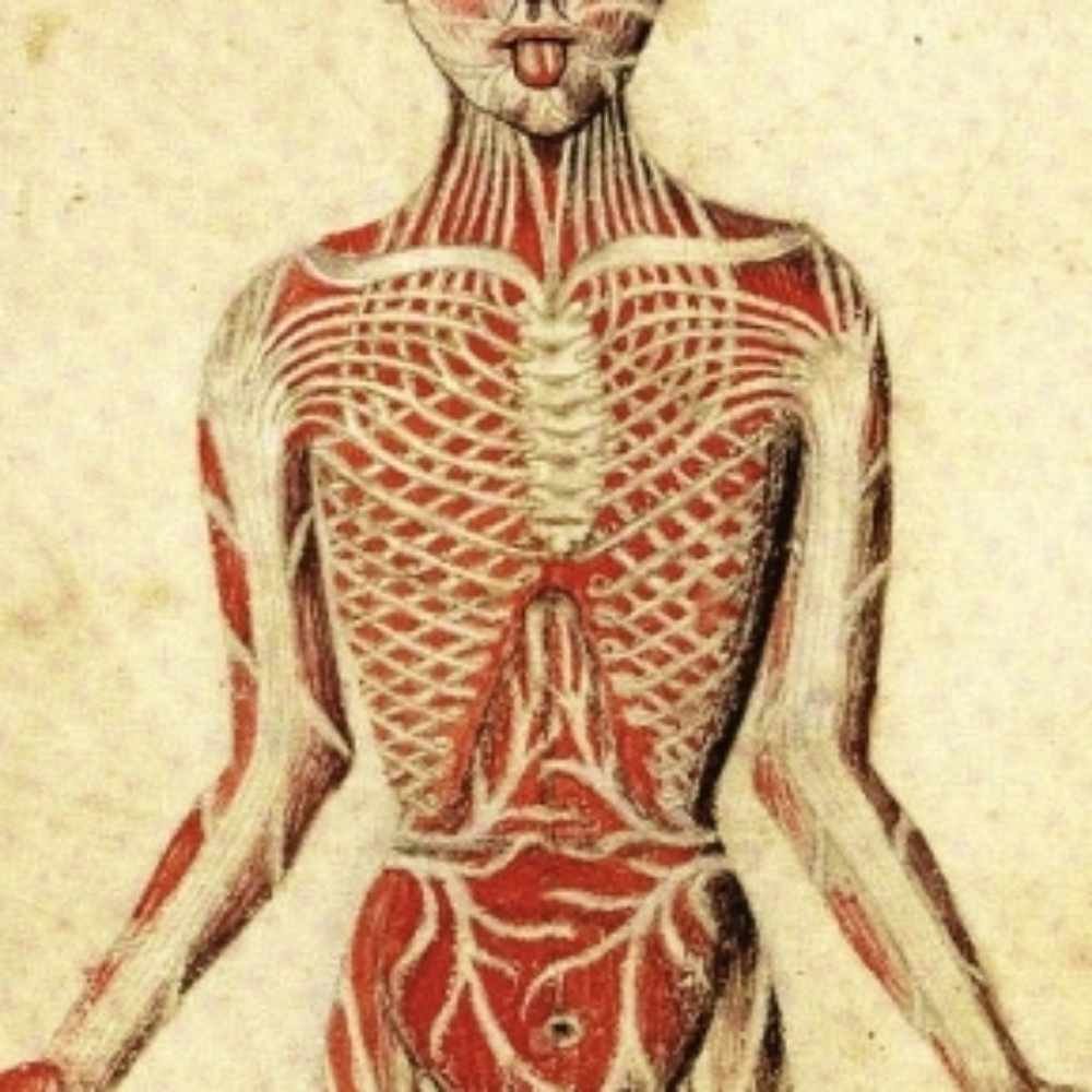 Full Body Deep Tissue