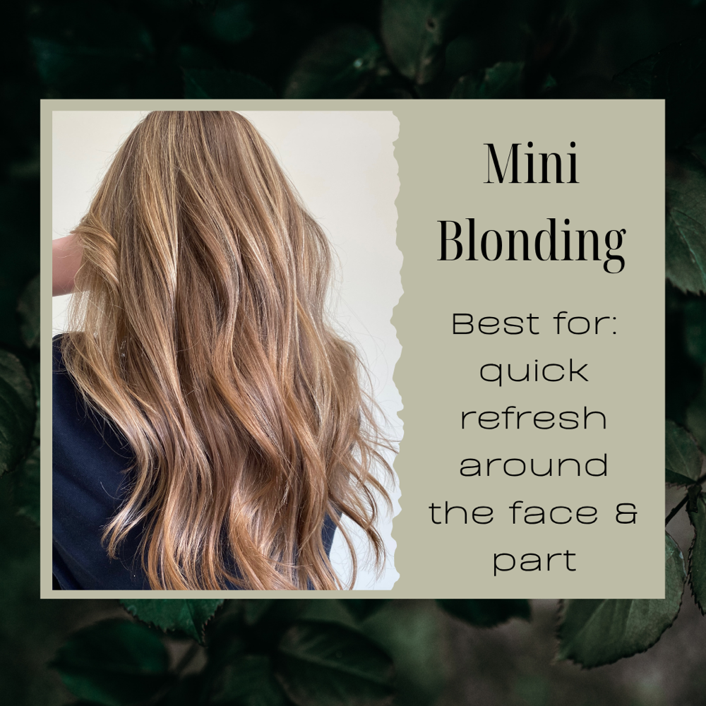 Mini Blonding Experience