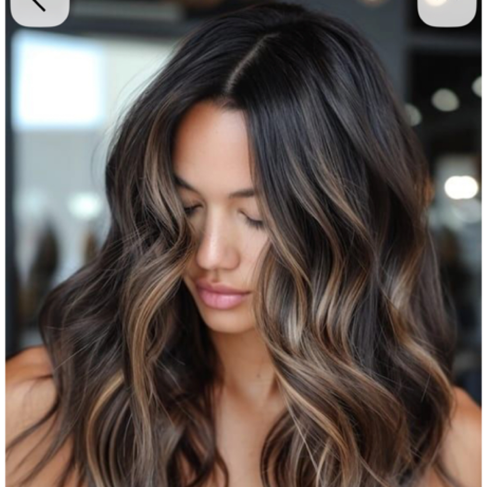 Balayage And Haircut at Lalona in Marquette, MI