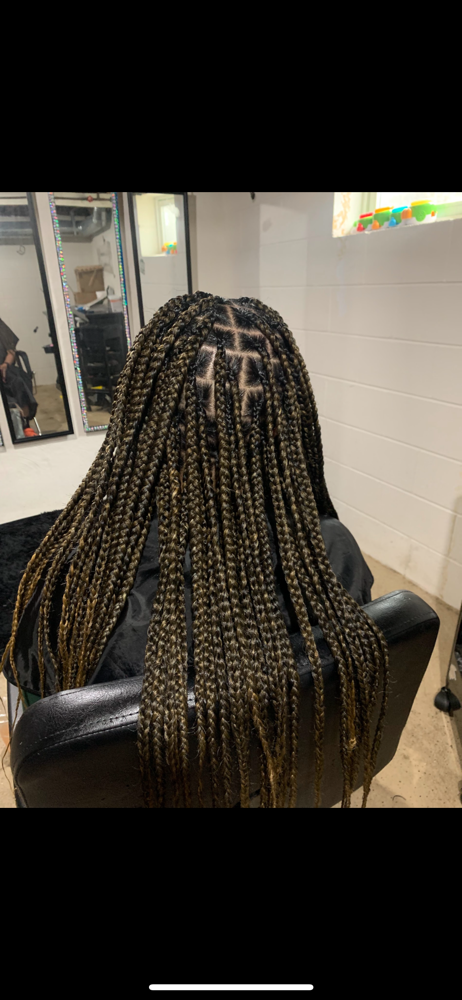 Knotless Braids Small