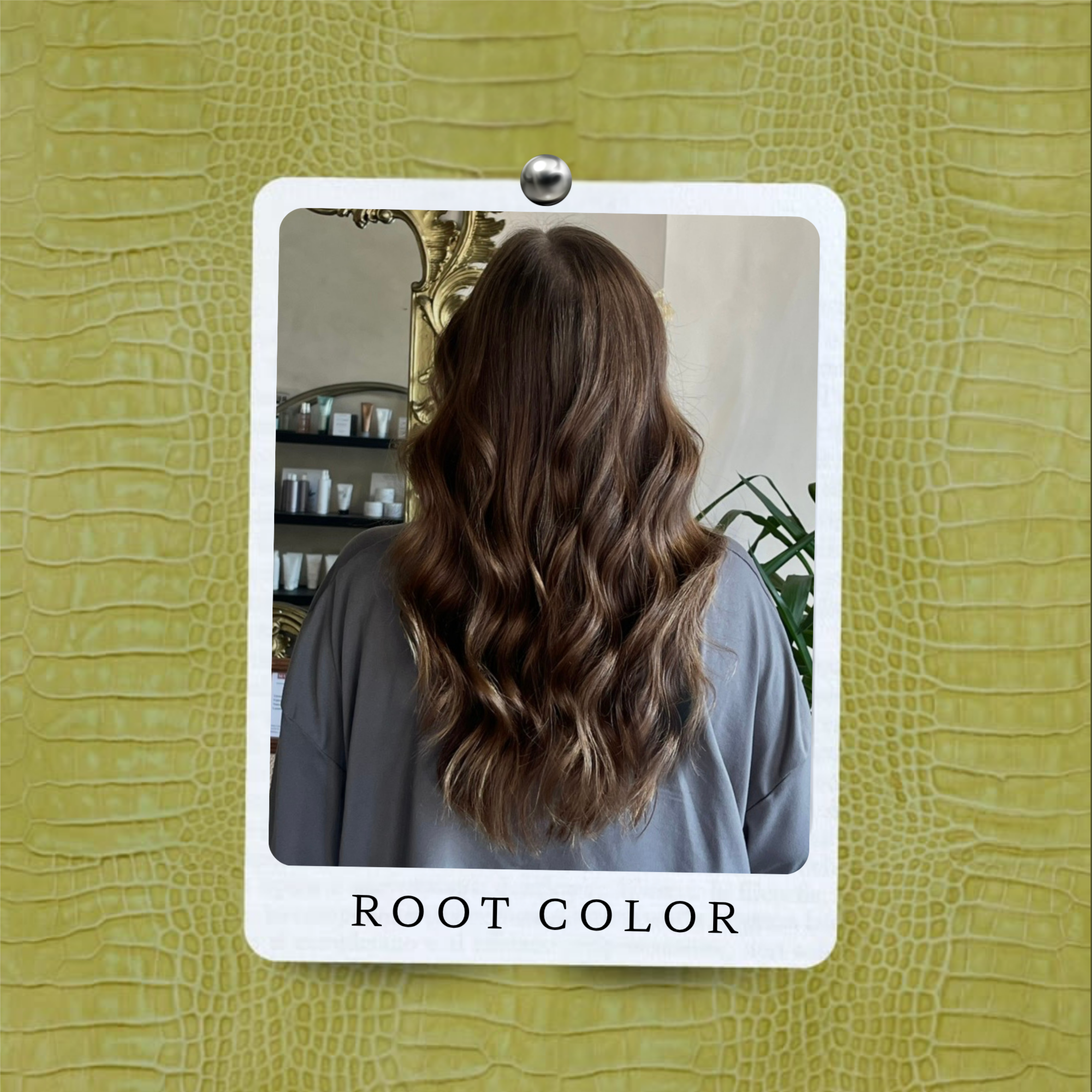 Root Color Only at COLORSxCOURT in Lincolnton, GA