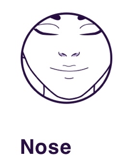 Nose