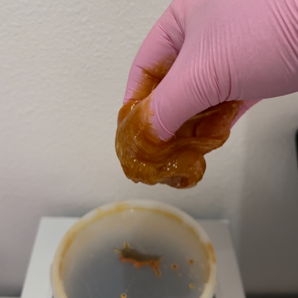 Full Back Sugar at Beauty by Kaylian in Temple, TX