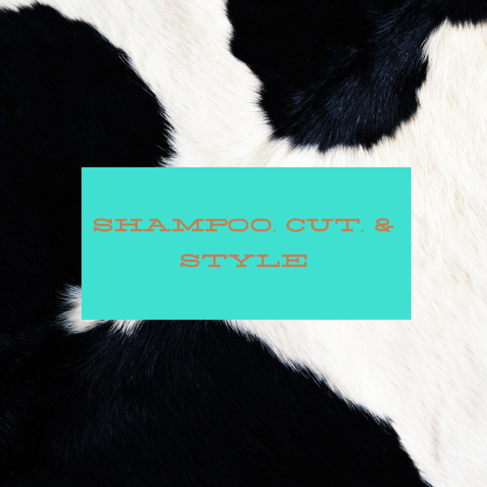 Shampoo, Cut & Style