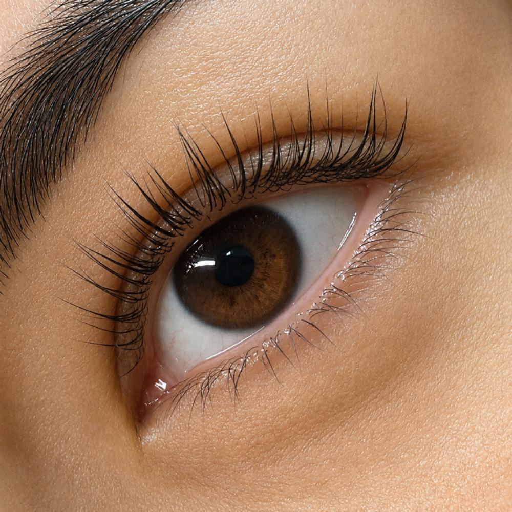 Lash lift at USACHOVA BEAUTY STUDIO in Charlotte, NC