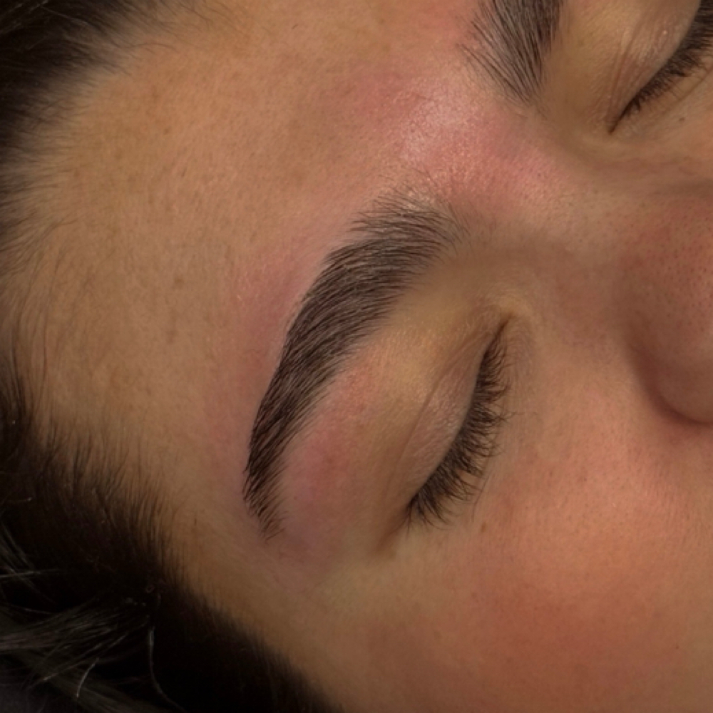 Full Brow Map + Wax at Push The Envelope Esthetics in Wilmington, NC