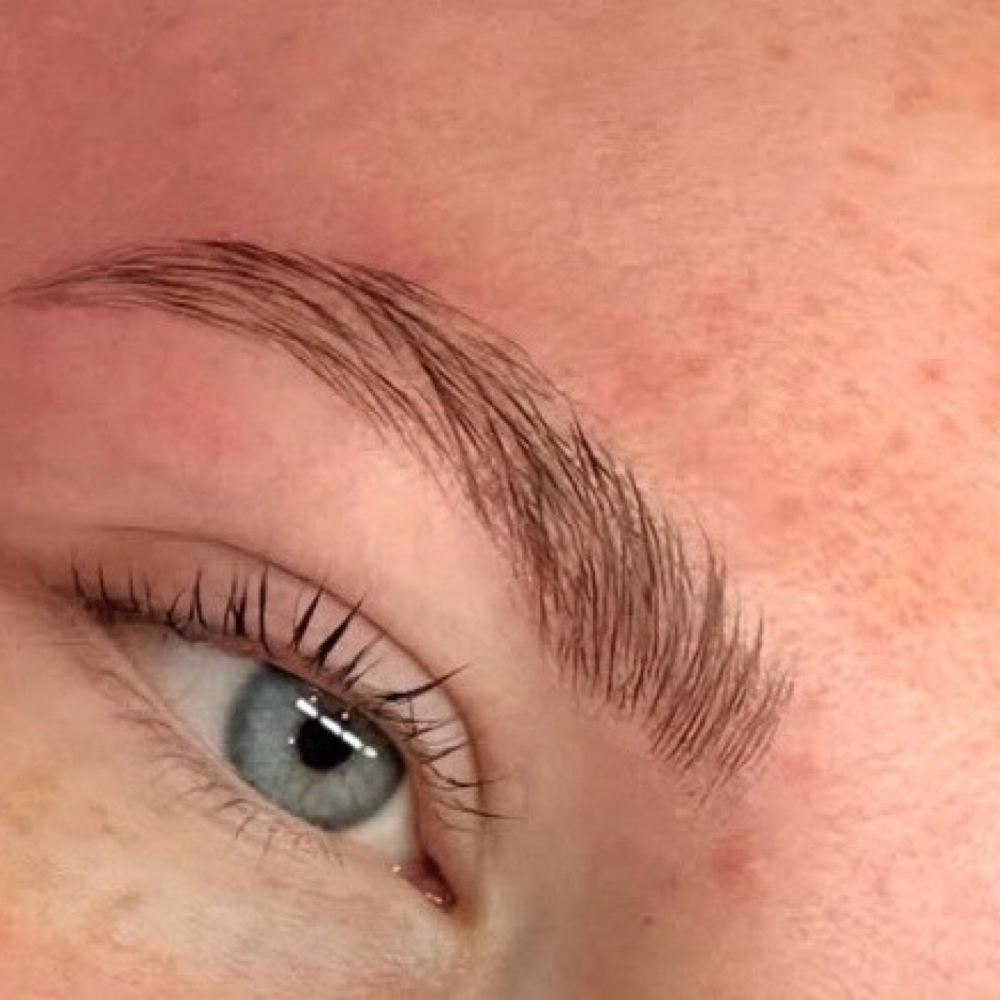Brow Lamination at Blush Beauty Boutique in Easton, PA