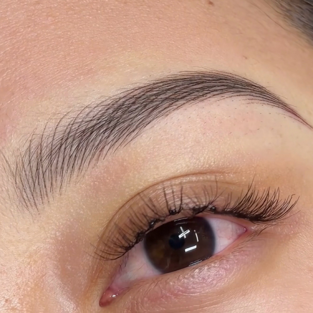 MICRO HAIRSTROKE( SPRING PROMOTION) at BROWS BY SANDY in Watauga, TX