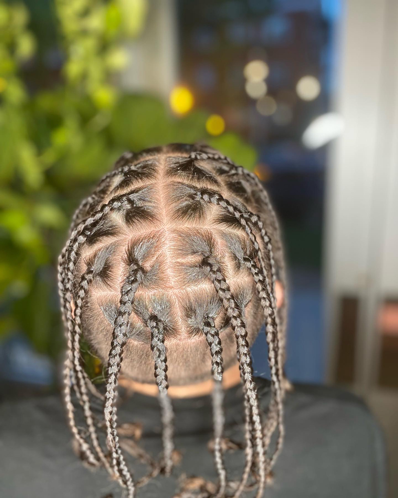 Natural Braids/Twist/Invisible Locs