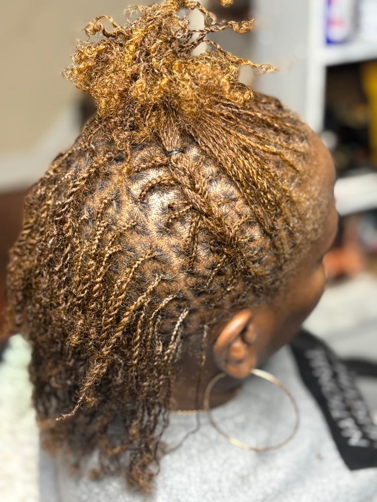 Starter Locs at Natural Touch Ki in Whitehall, OH