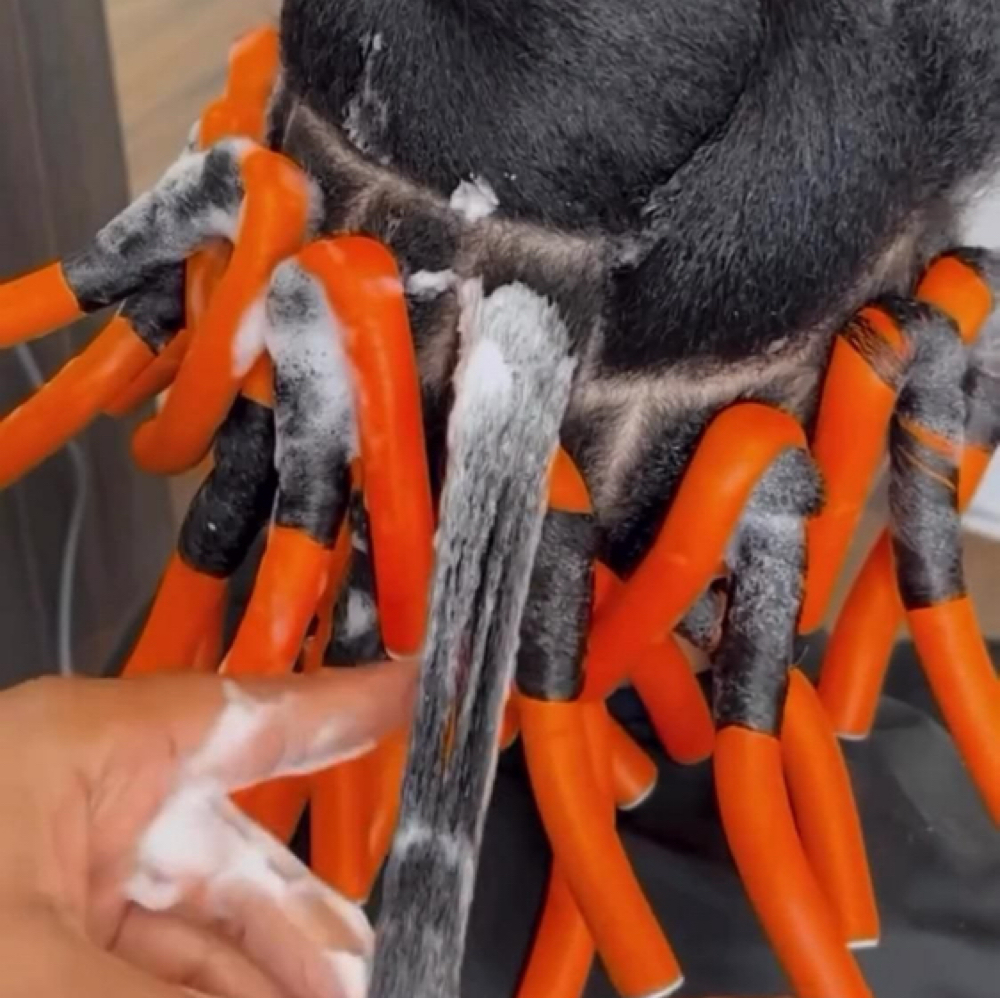 NATURAL WETSET SERVICES at NATURAL IS KEY in Smyrna, TN