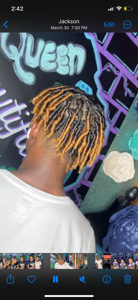 Starter Locs