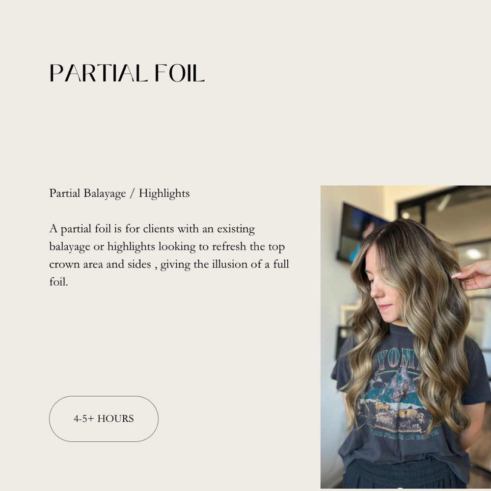 Partial Balayage / Highlight LONG