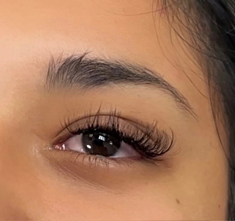 3 week classic fill