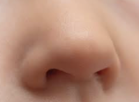 Nose wax
