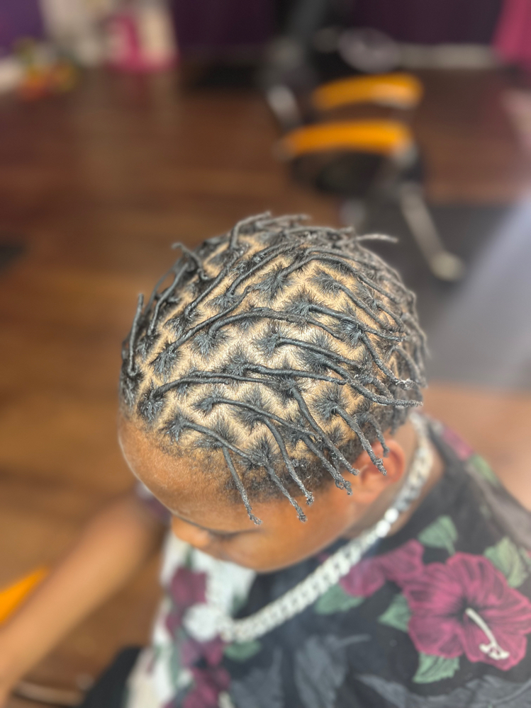 Starter Locs
