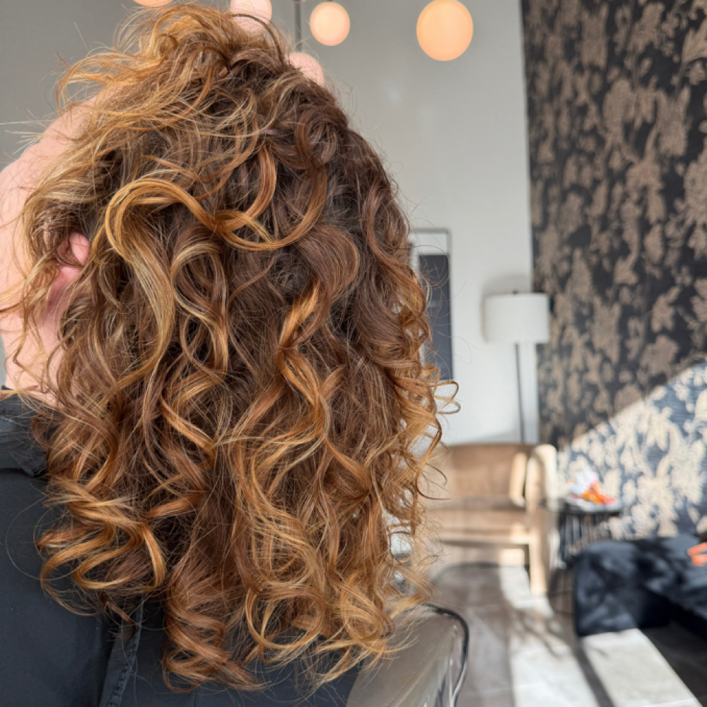 Curl Maintenance (Dry Cut) at Ethereal Curls and Beauty in Waxahachie, TX