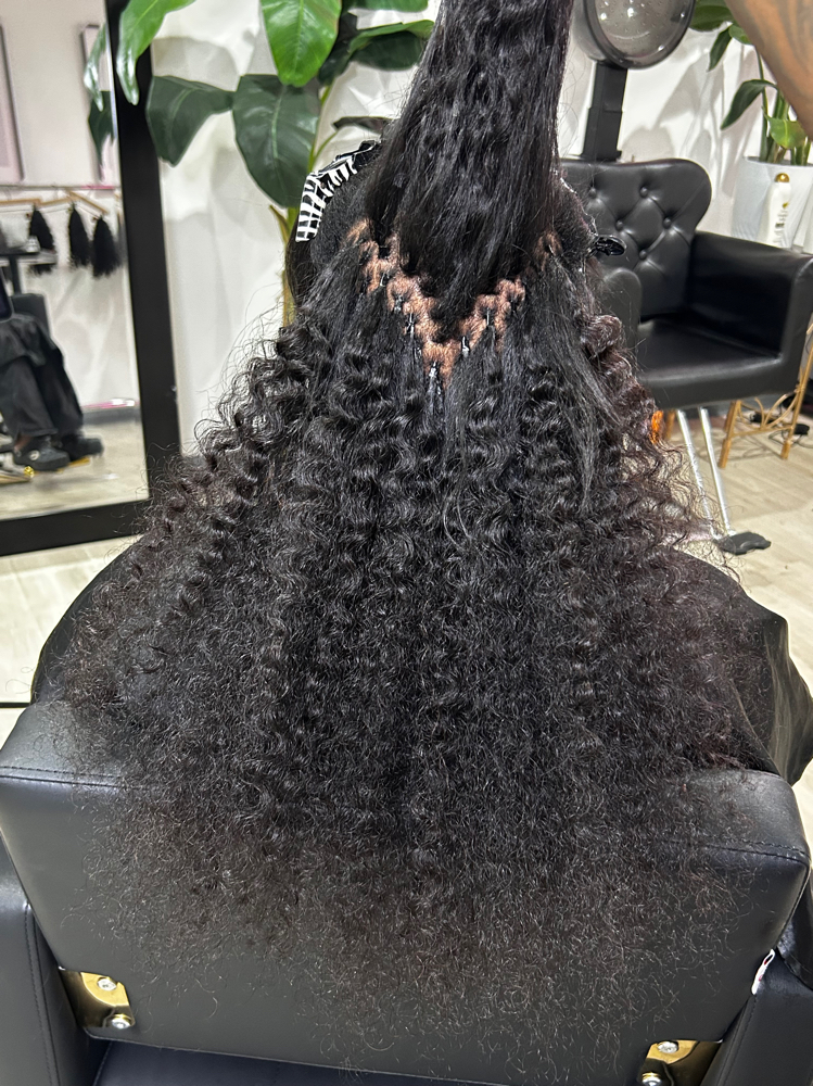 I-tip (Burmese curly)