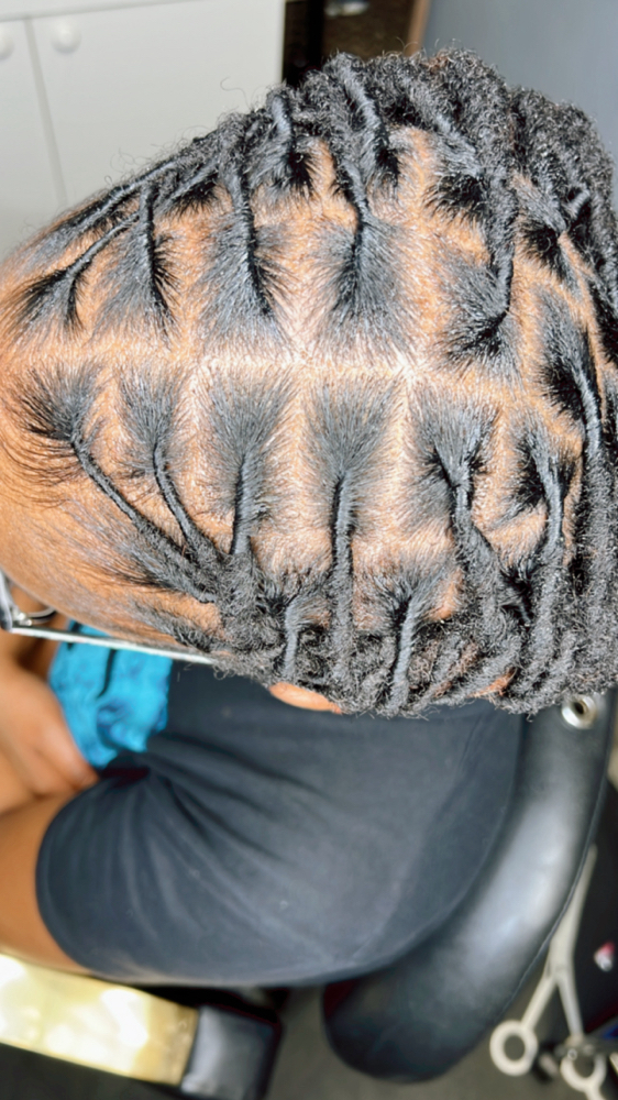 Locs maintenance/ care