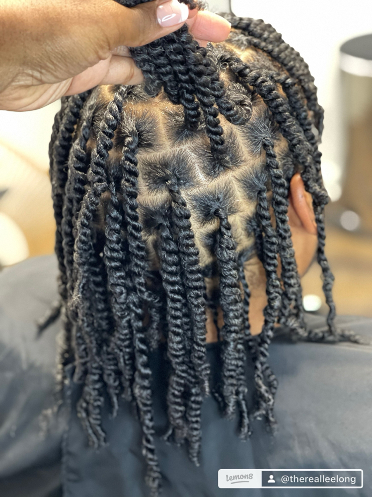 2 Strand Twists