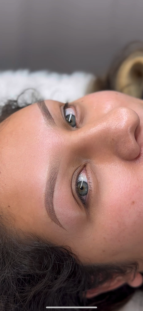 Ombre Powder Brows Anual Touch Up
