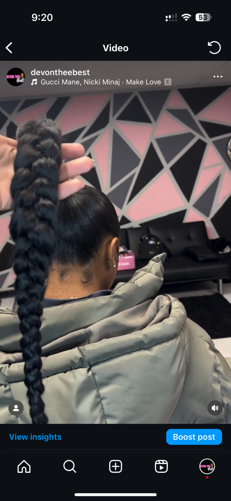 Braided Pony