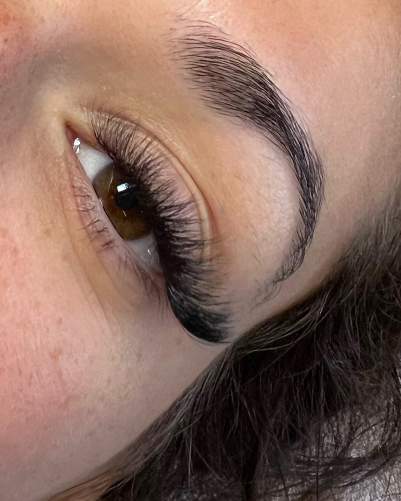 4 Week Lash Fill