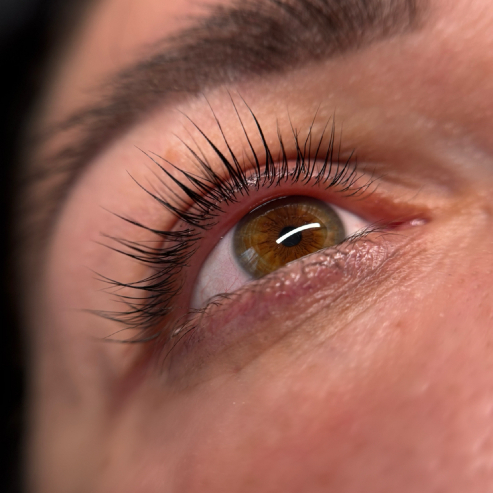 Lash Tint at LuxeAura Lashes and Spa Boston in Watertown, MA