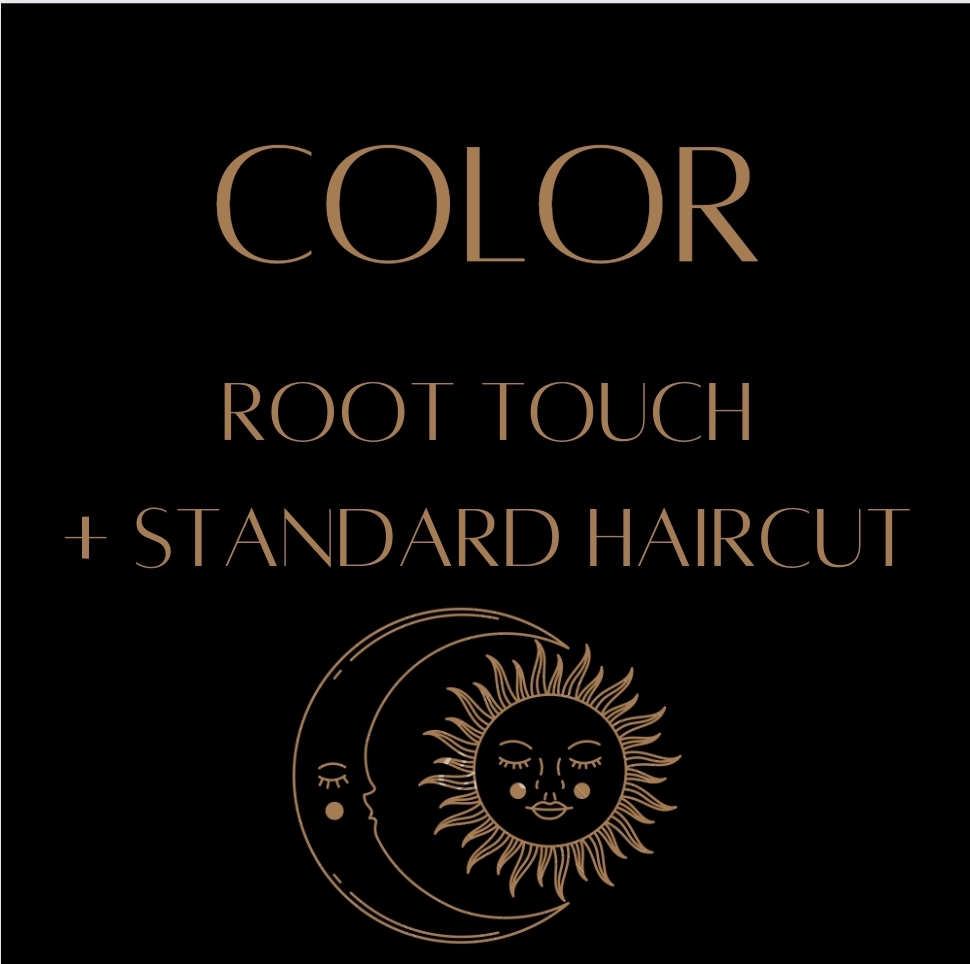 Root Touch + Standard Haircut