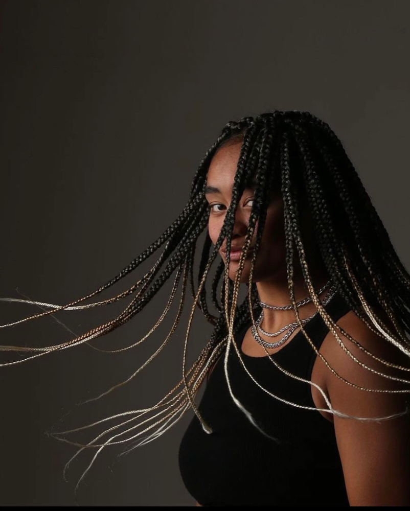 Medium Box Braids Hair Added