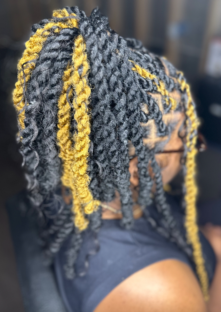 Twists at BeauTae Hair🦋 in Columbia, SC