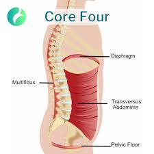 Abdominal Wall Assessment