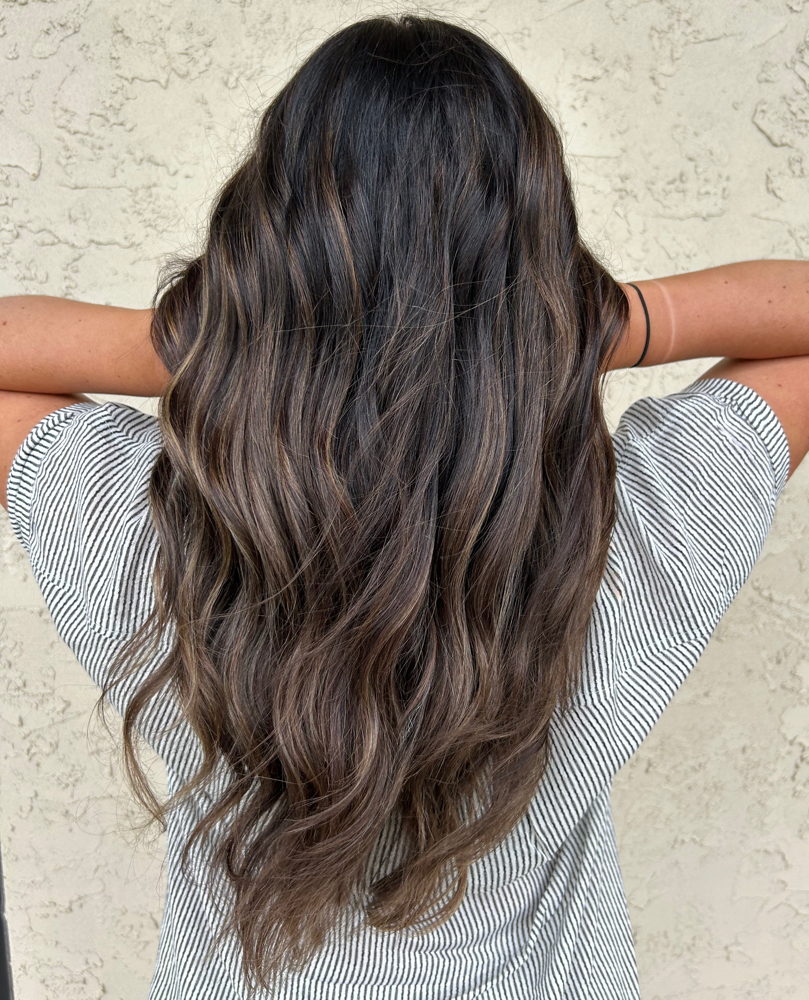 Balayage / Lived In Color
