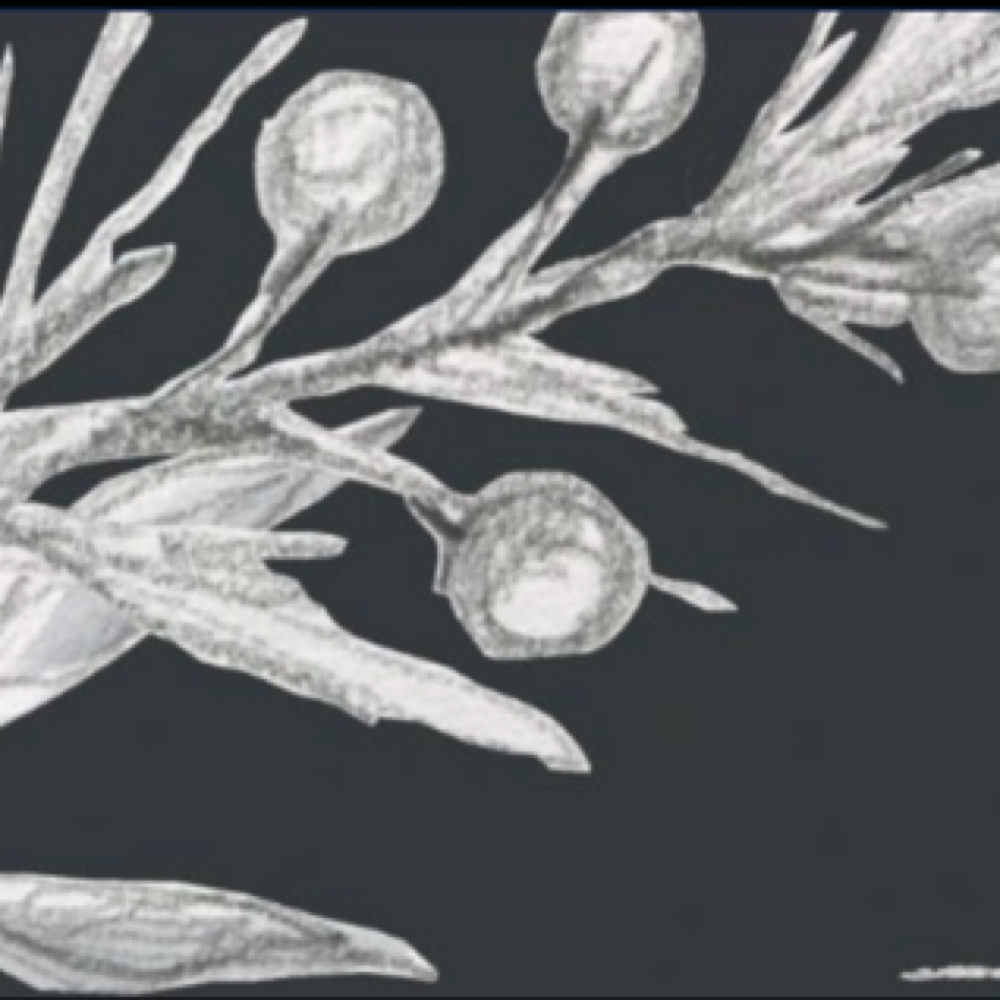 LED Light Therapy Add On at Skin Nirvana in Greeneville, TN