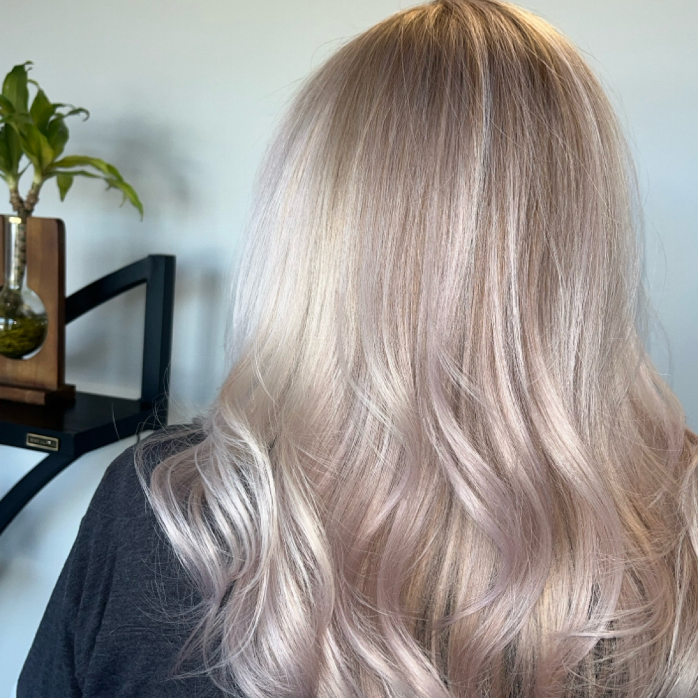 Full Highlight at Adina πͺβ¨ in Wichita, KS