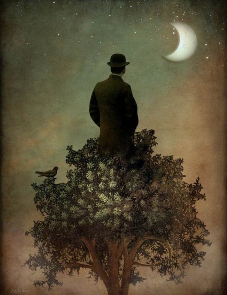 Men's Haircut and Color