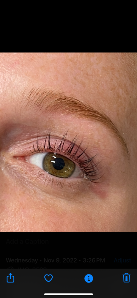 Lash Lift & Tint