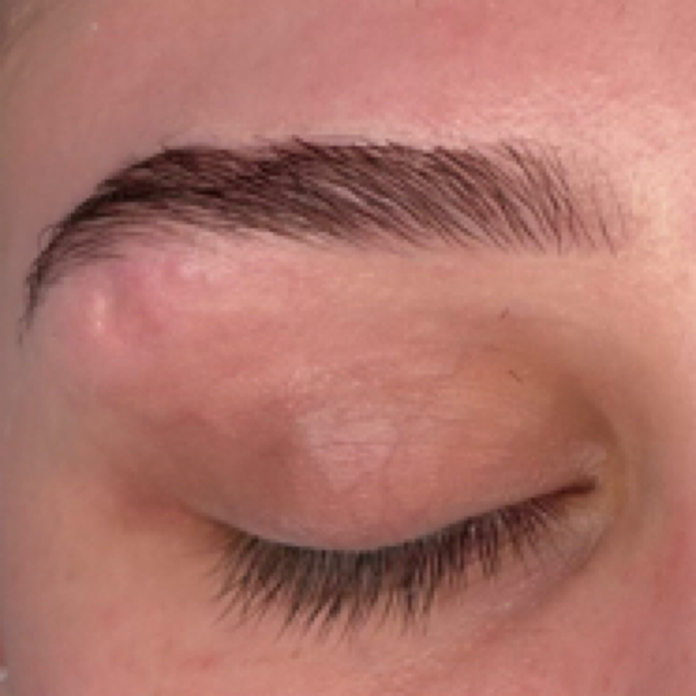 Brow Tint at Beauty By Lex in Folsom, CA