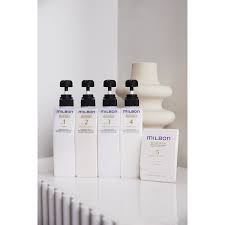 Luxe Milbon Blowout