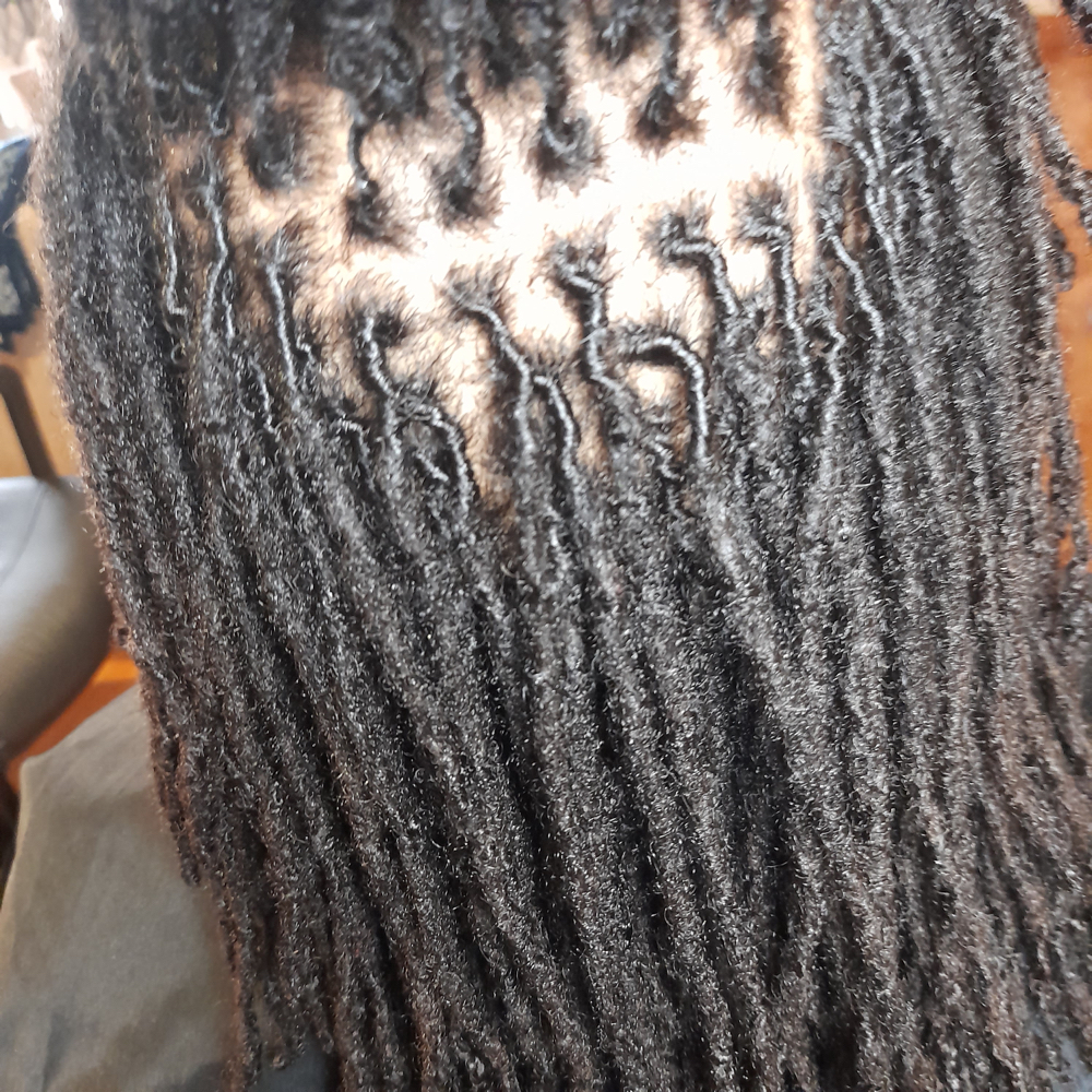 Retwist (sm Locs Maintenance)