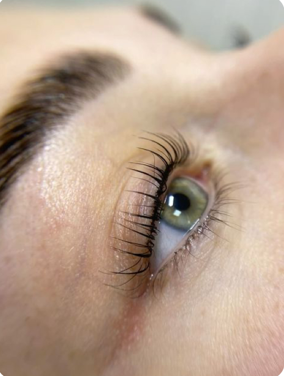 Lash Lift With Tint