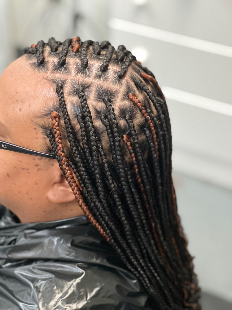 Knotless/Box Braids (small)