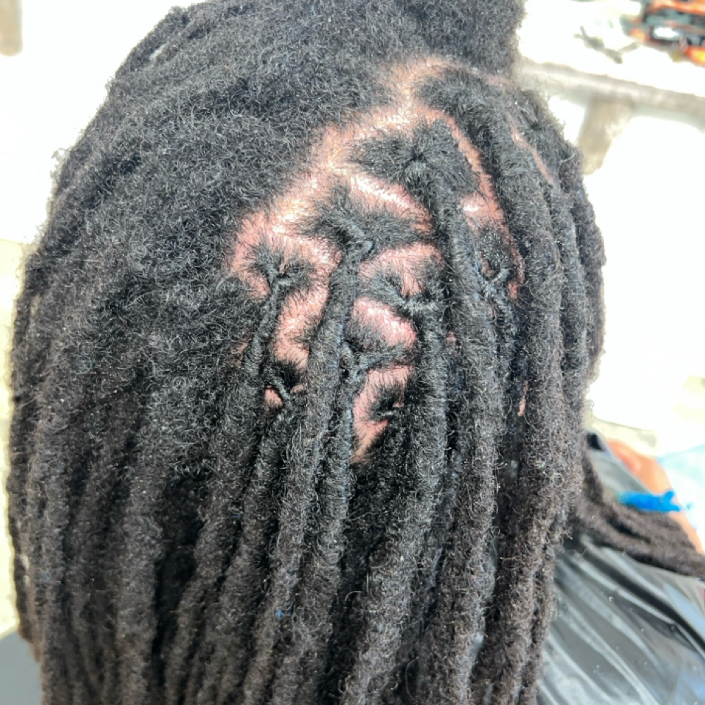 51-75 Locs Interlocking at LASHDAE of Roots To Royalty Studio in Phoenix, AZ