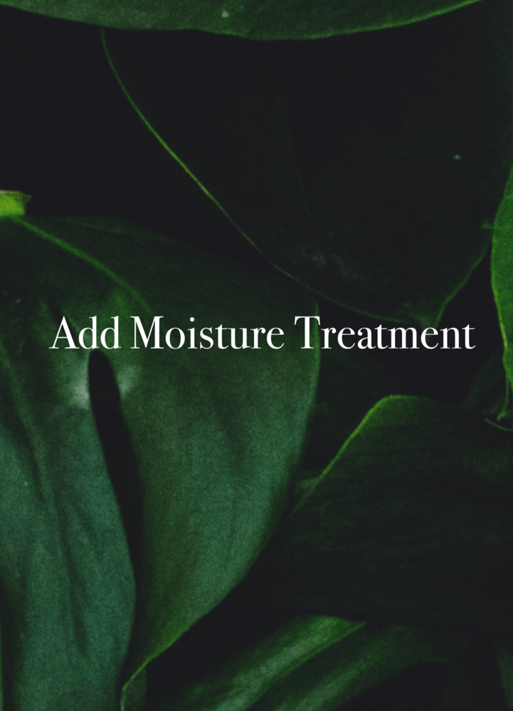 Add Moisture Treatment at Anestie Beauty Lounge in Franklin Square, NY