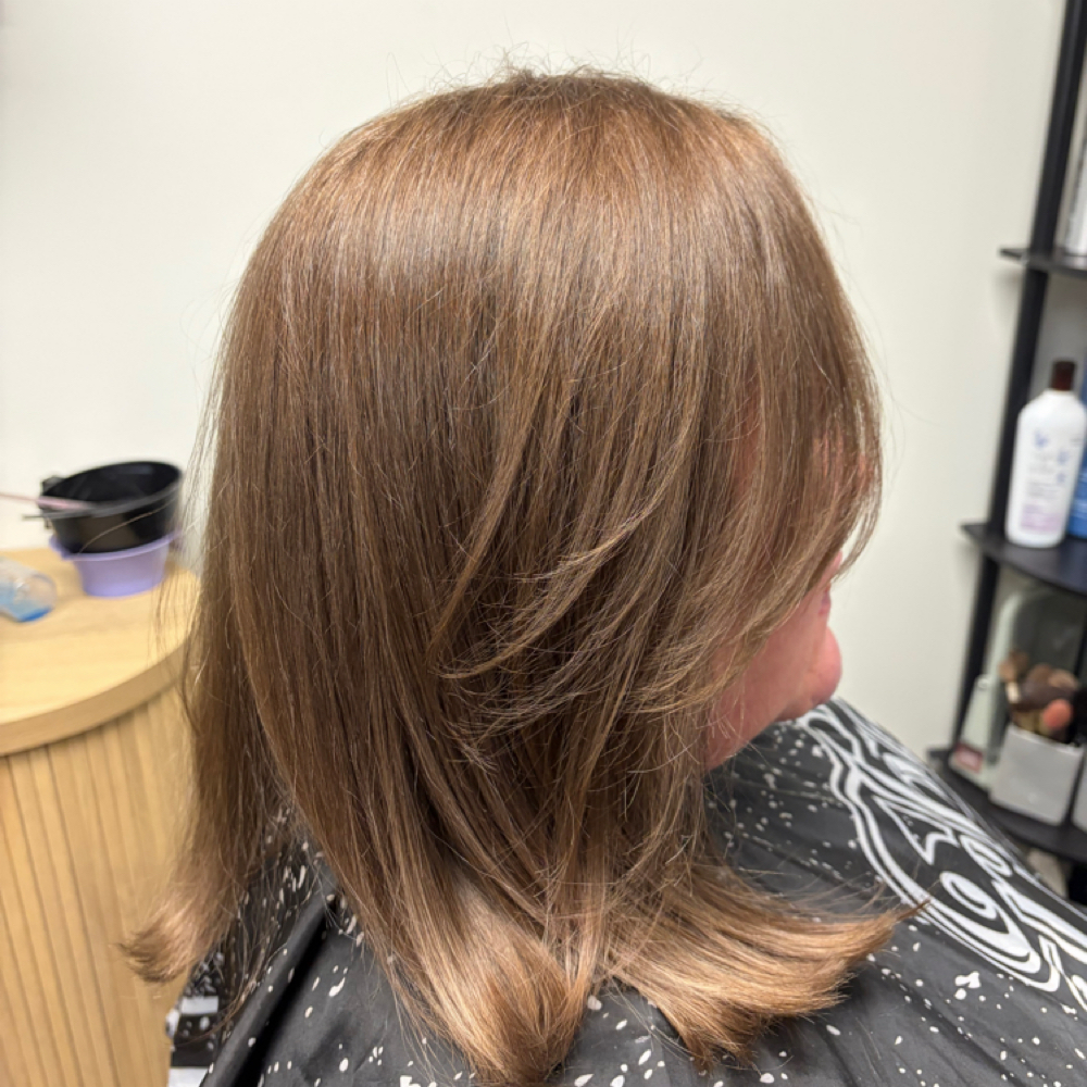 Grey Blending (demi Color) at Mckenzie Mosher in Rochester, NY