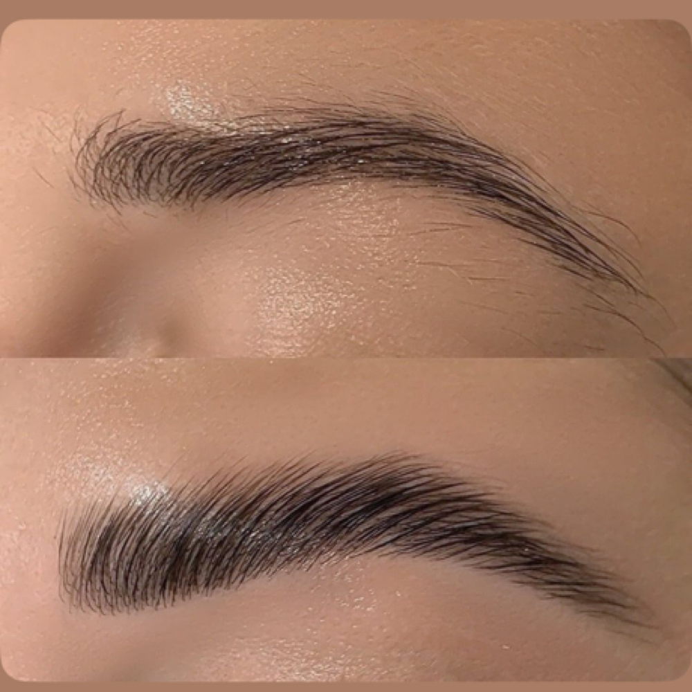 Brow Shape Lamination And Tint at Ella Myer Esthetics in Pensacola, FL