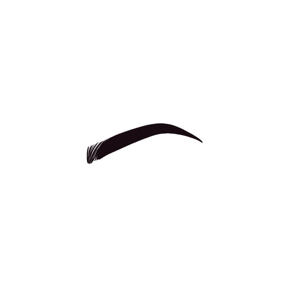 OMBRE POWDER BROWS