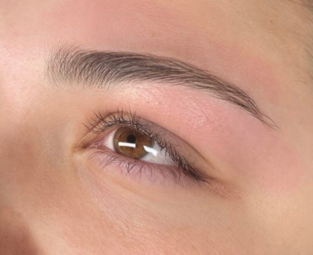 Brow Wax & Shape at Lace Esthetics in Chino Valley, AZ