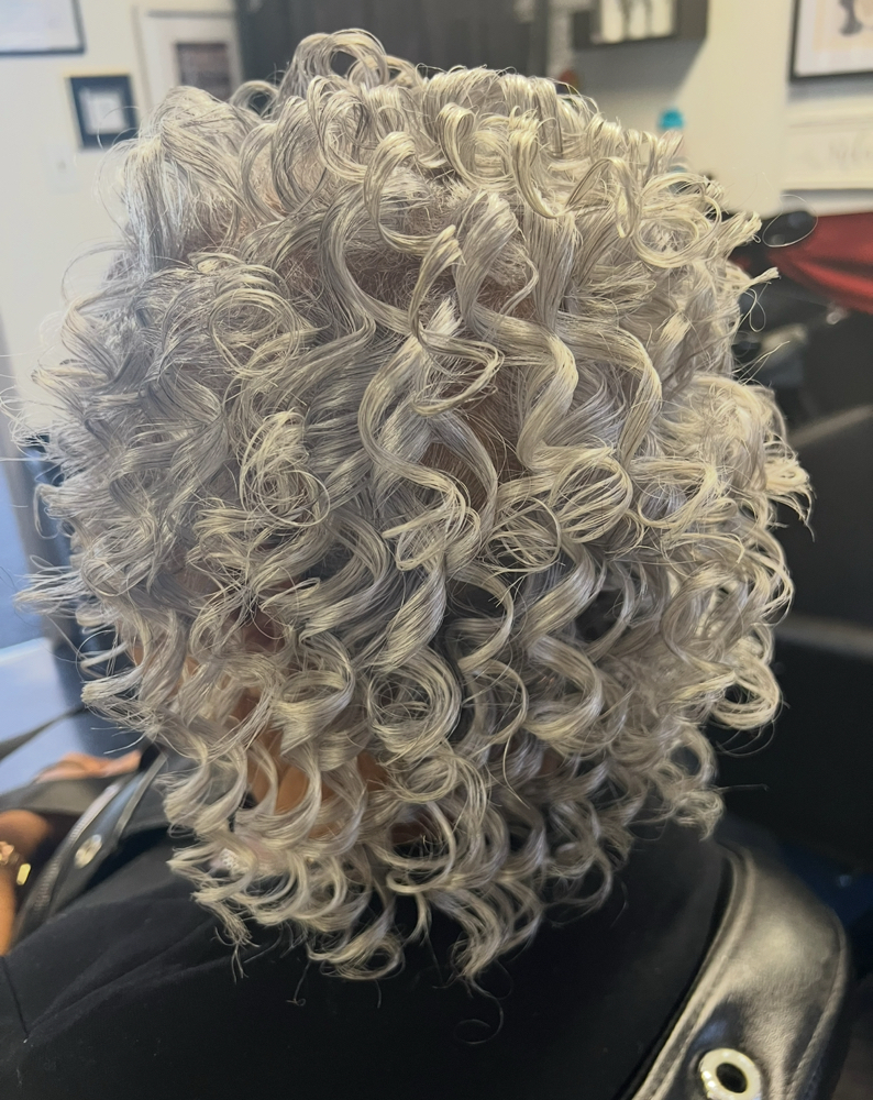 ROLLER SET at JOY DENICE  HAIRCARE LLC in Troy, MI
